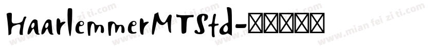 HaarlemmerMTStd字体转换