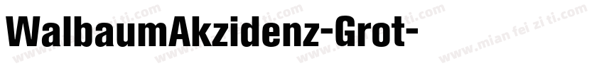 WalbaumAkzidenz-Grot字体转换