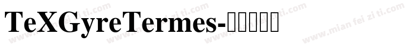 TeXGyreTermes字体转换