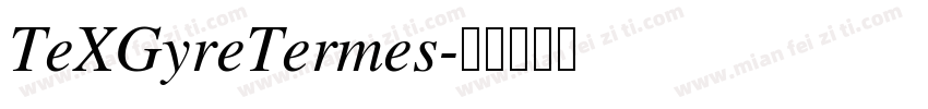 TeXGyreTermes字体转换