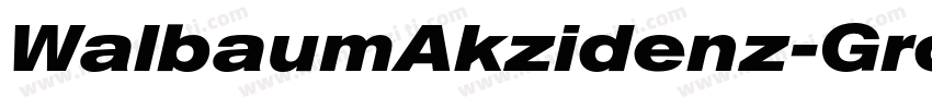 WalbaumAkzidenz-Grot字体转换