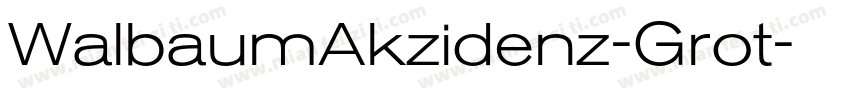 WalbaumAkzidenz-Grot字体转换