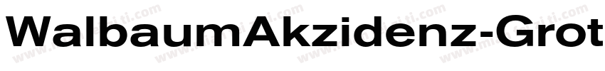 WalbaumAkzidenz-Grot字体转换