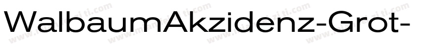 WalbaumAkzidenz-Grot字体转换