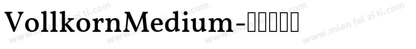 VollkornMedium字体转换