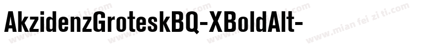 AkzidenzGroteskBQ-XBoldAlt字体转换