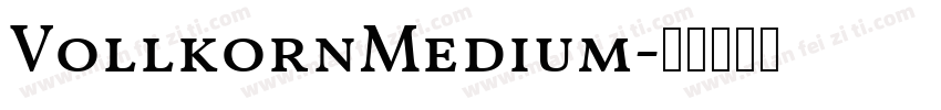 VollkornMedium字体转换