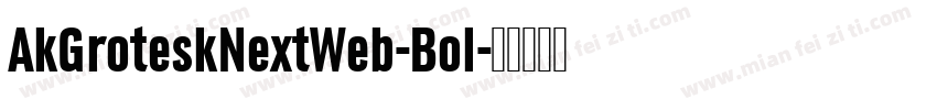 AkGroteskNextWeb-Bol字体转换