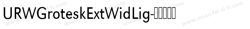 URWGroteskExtWidLig字体转换