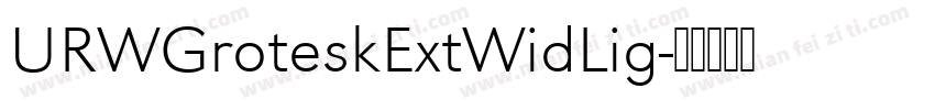 URWGroteskExtWidLig字体转换