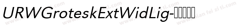 URWGroteskExtWidLig字体转换