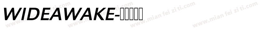 WIDEAWAKE字体转换