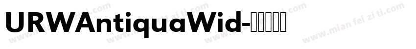 URWAntiquaWid字体转换