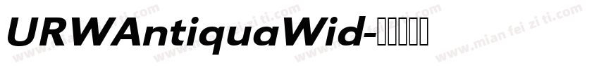 URWAntiquaWid字体转换