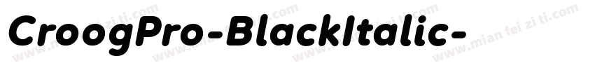 CroogPro-BlackItalic字体转换