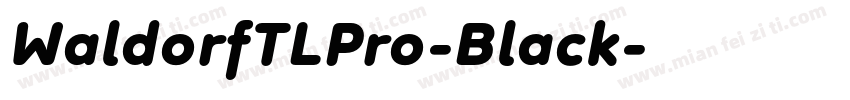 WaldorfTLPro-Black字体转换