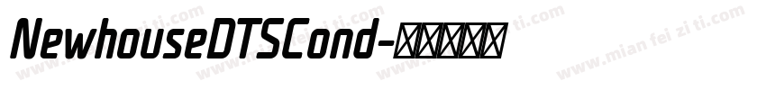 NewhouseDTSCond字体转换
