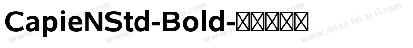 CapieNStd-Bold字体转换