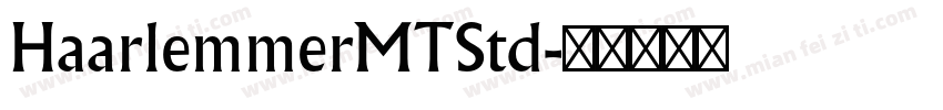 HaarlemmerMTStd字体转换