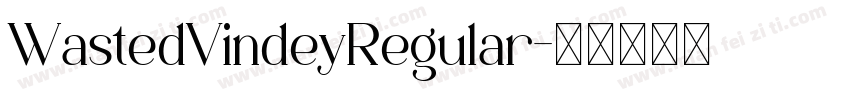 WastedVindeyRegular字体转换