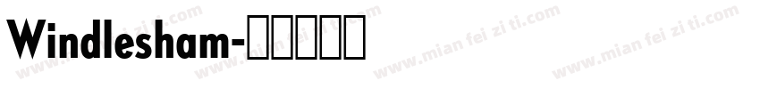 Windlesham字体转换