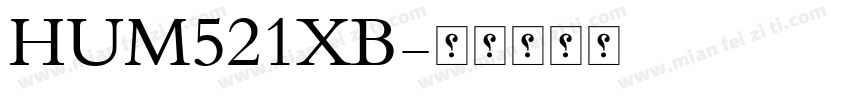 HUM521XB字体转换