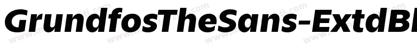 GrundfosTheSans-ExtdBlack字体转换