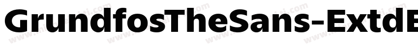 GrundfosTheSans-ExtdBlack字体转换