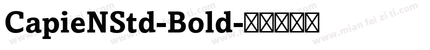 CapieNStd-Bold字体转换