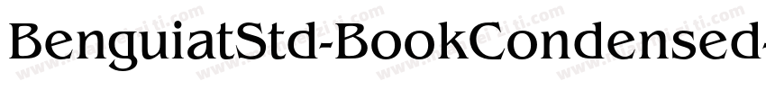BenguiatStd-BookCondensed字体转换