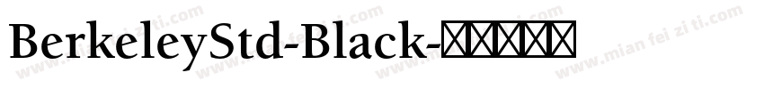 BerkeleyStd-Black字体转换