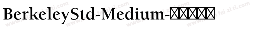 BerkeleyStd-Medium字体转换