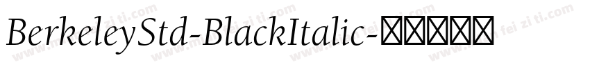 BerkeleyStd-BlackItalic字体转换