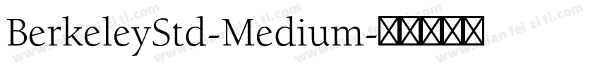 BerkeleyStd-Medium字体转换