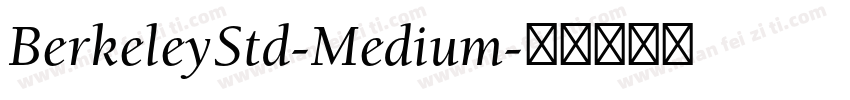 BerkeleyStd-Medium字体转换