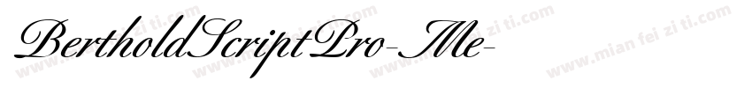 BertholdScriptPro-Me字体转换