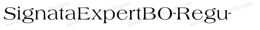 SignataExpertBO-Regu字体转换