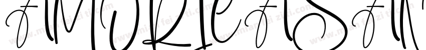 AMORICASANSRegular字体转换