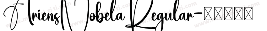 AriensNobelaRegular字体转换