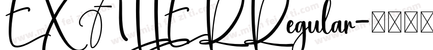 EXALLERRegular字体转换