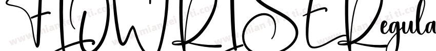 FLOWRISERegular字体转换