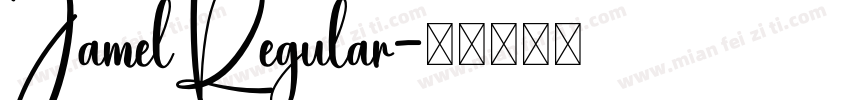 JamelRegular字体转换