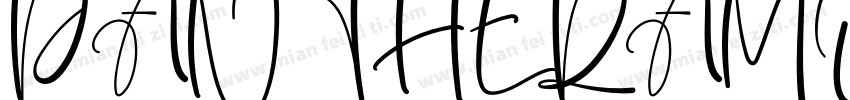 PANTHERAMONOLETTERRegular字体转换