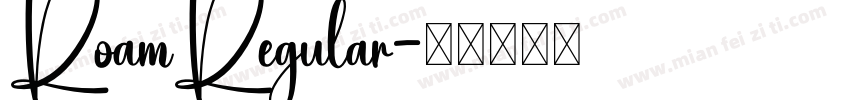 RoamRegular字体转换