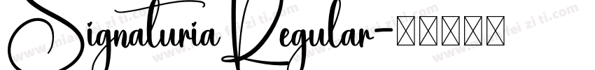 SignaturiaRegular字体转换