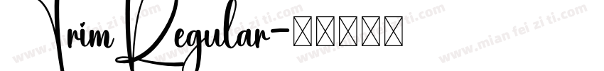 TrimRegular字体转换