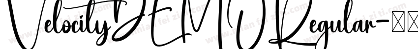 VelocityDEMORegular字体转换