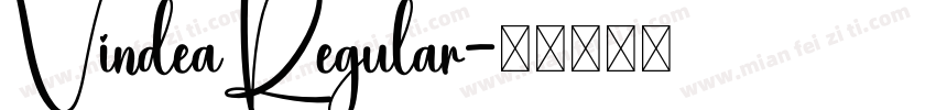 VindeaRegular字体转换