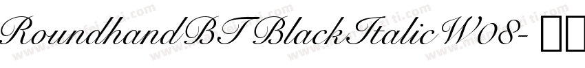 RoundhandBTBlackItalicW08字体转换