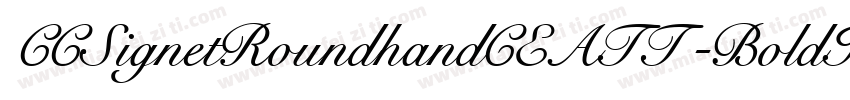 CCSignetRoundhandCEATT-BoldItal字体转换